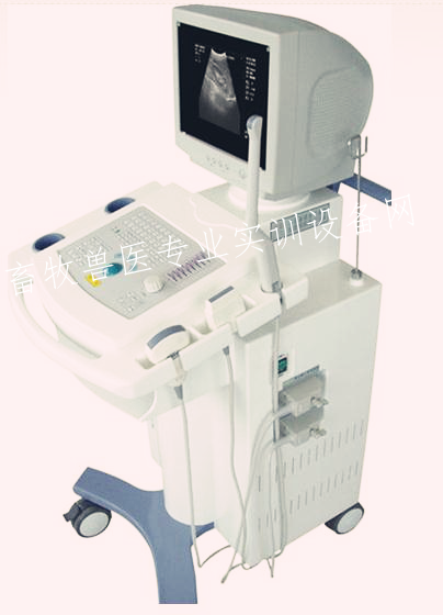 推车式黑白超声诊断系统