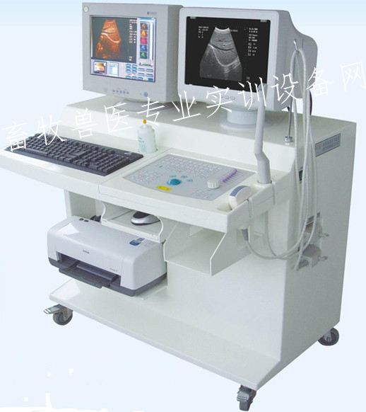 工作站式动物超声诊断系统